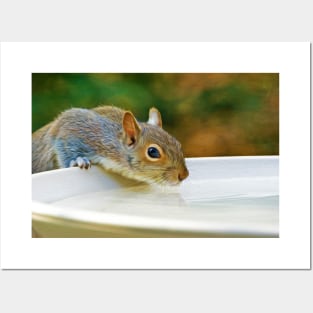 North American Ground Squirrel Posters and Art
